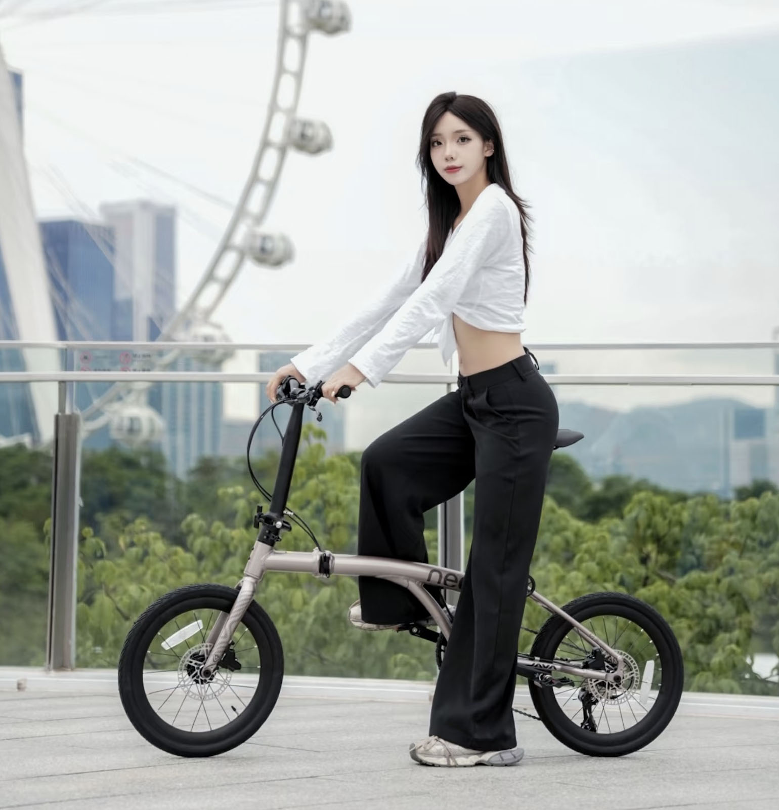 xe đạp gấp nhẹ dưới 12kg