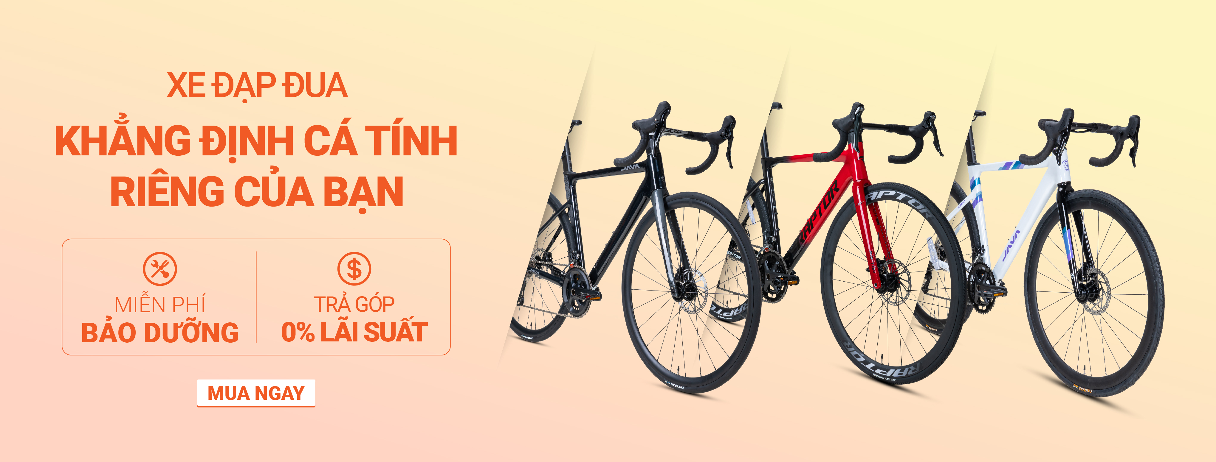 Banner Home 6 - Mới