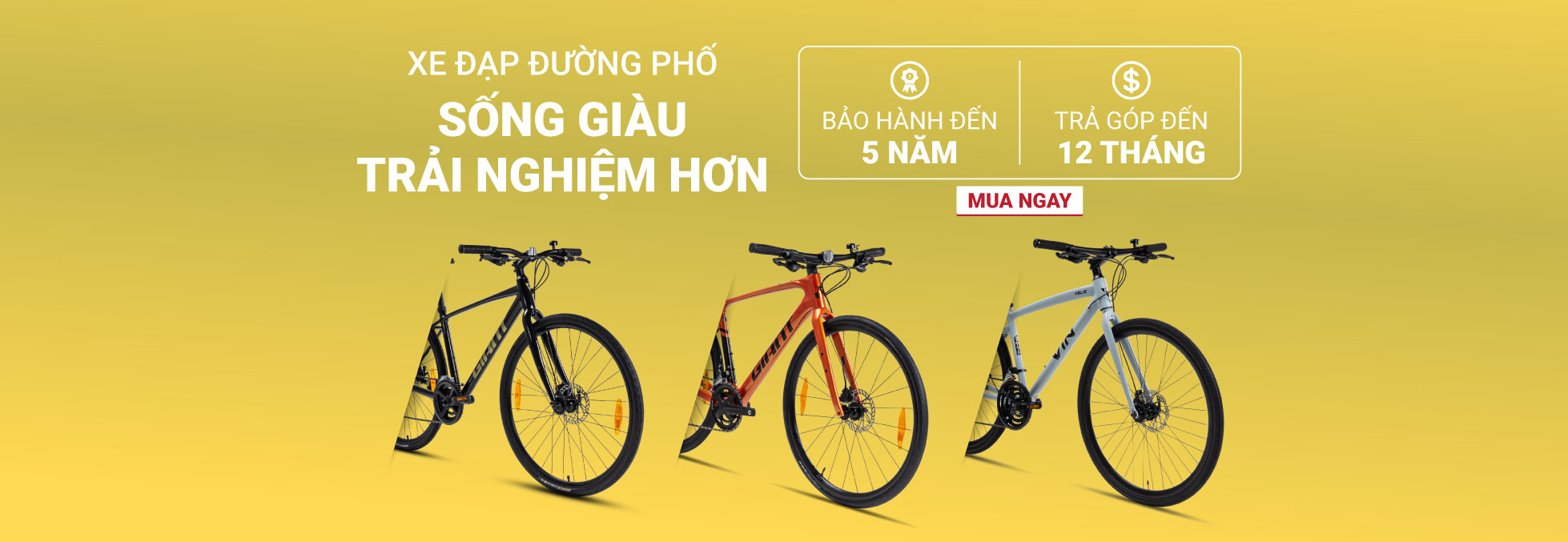 Banner Home 5 _mới