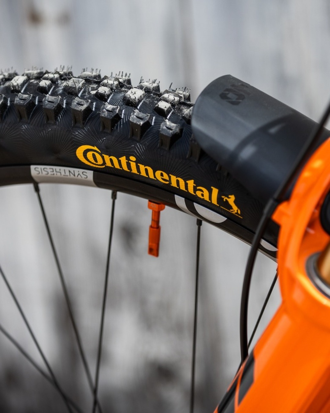 Thuong-hieu-continental-dong-hanh-cung-vong-xanh-tai-thi-truong-Viet-Nam-05