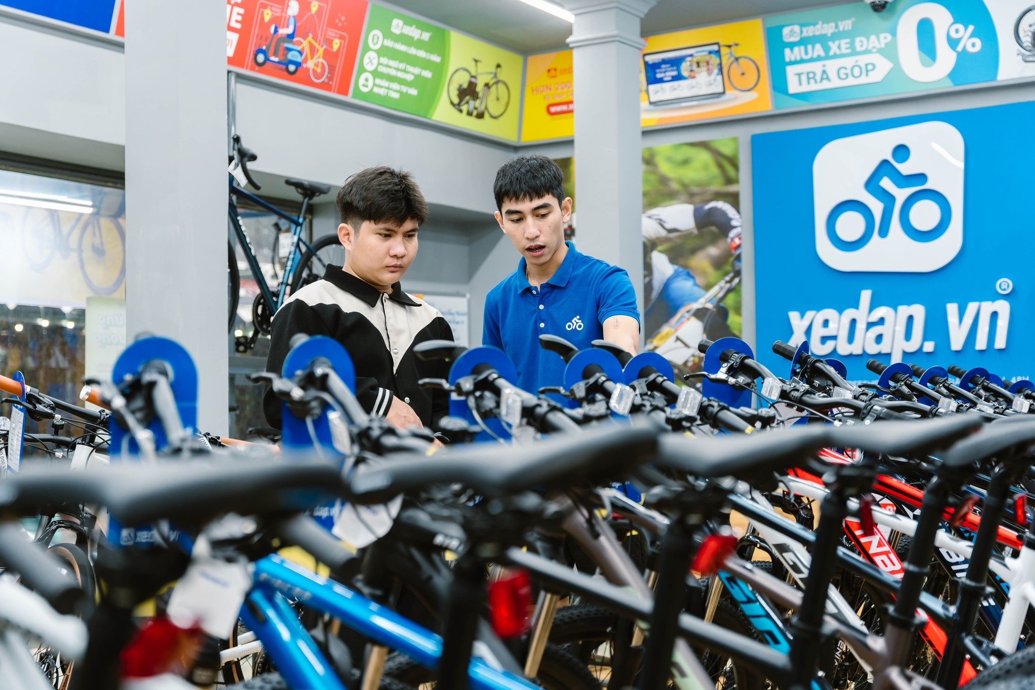 Vì sao các thương hiệu quốc tế tin chọn Vòng Xanh là đối tác tại Việt Nam?