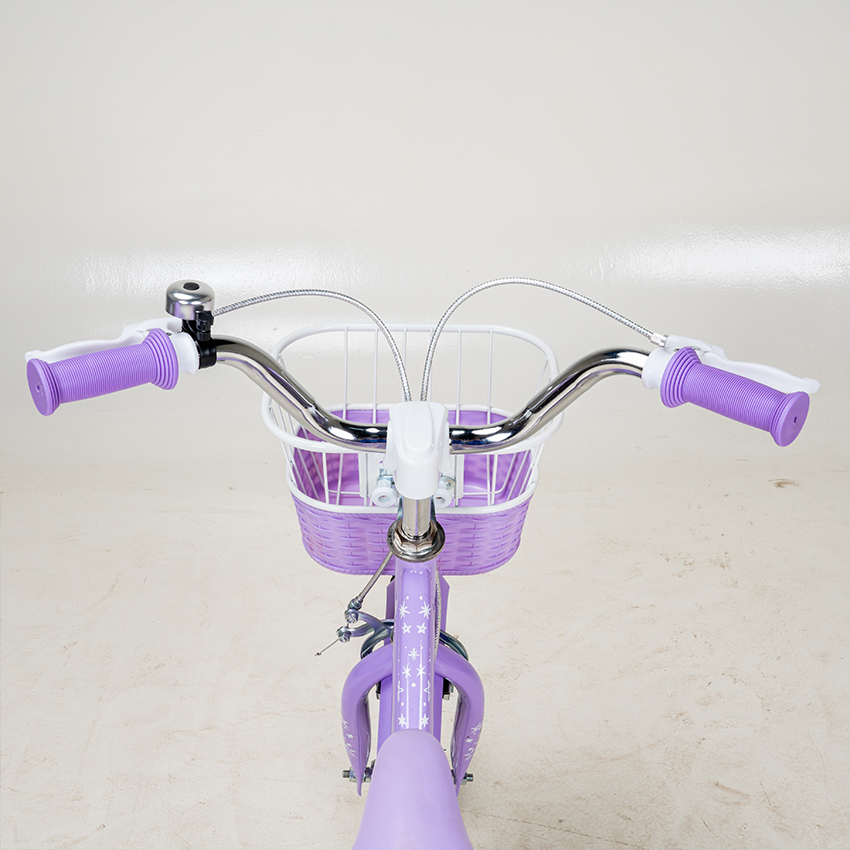 https://api.xedap.vn/products/BDD/ava-3-purple-6.jpg