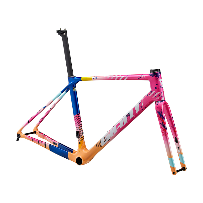 Khung Sườn Xe Đạp GIANT TCR Advanced Pro Frame And Fork