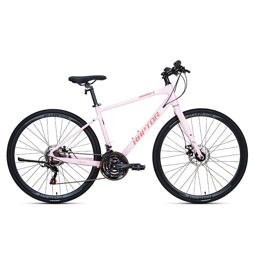 Xe Đạp Đường Phố Touring RAPTOR Feliz 2 - Phanh Đĩa, Bánh 700C