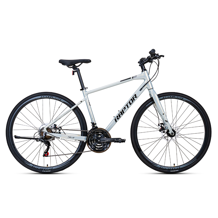 Xe Đạp Đường Phố Touring RAPTOR Feliz 2 - Phanh Đĩa, Bánh 700C
