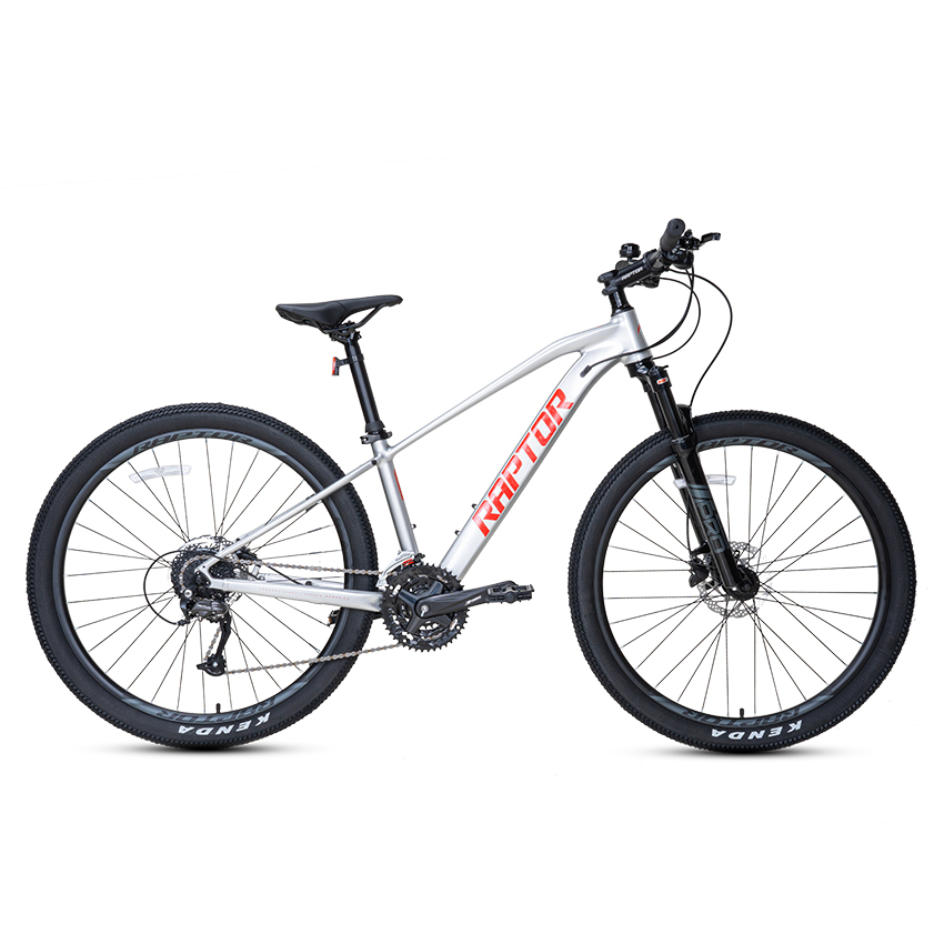 https://api.xedap.vn/products/RAPTOR/evo-grey.jpg