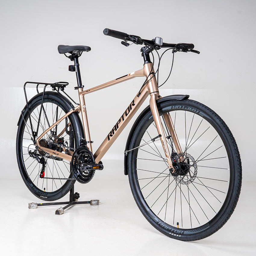 https://api.xedap.vn/products/RAPTOR/feliz-2-b-gold-10.jpg