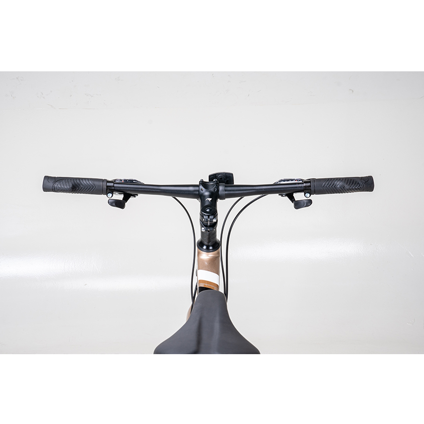 https://api.xedap.vn/products/RAPTOR/feliz-2-b-gold-5.jpg