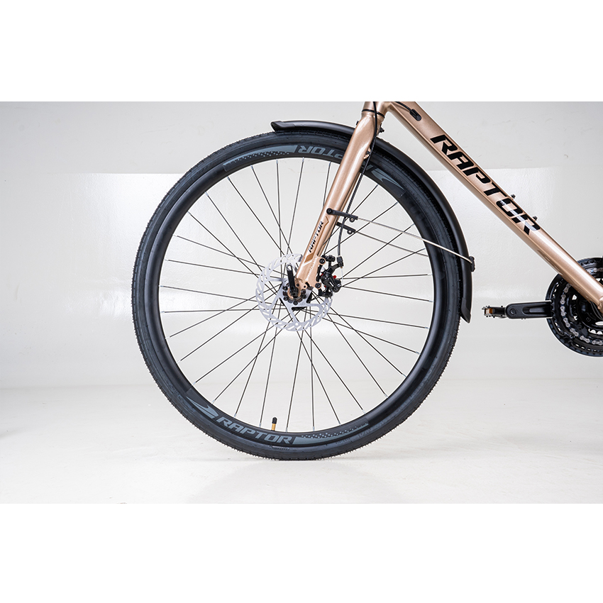 https://api.xedap.vn/products/RAPTOR/feliz-2-b-gold-6.jpg