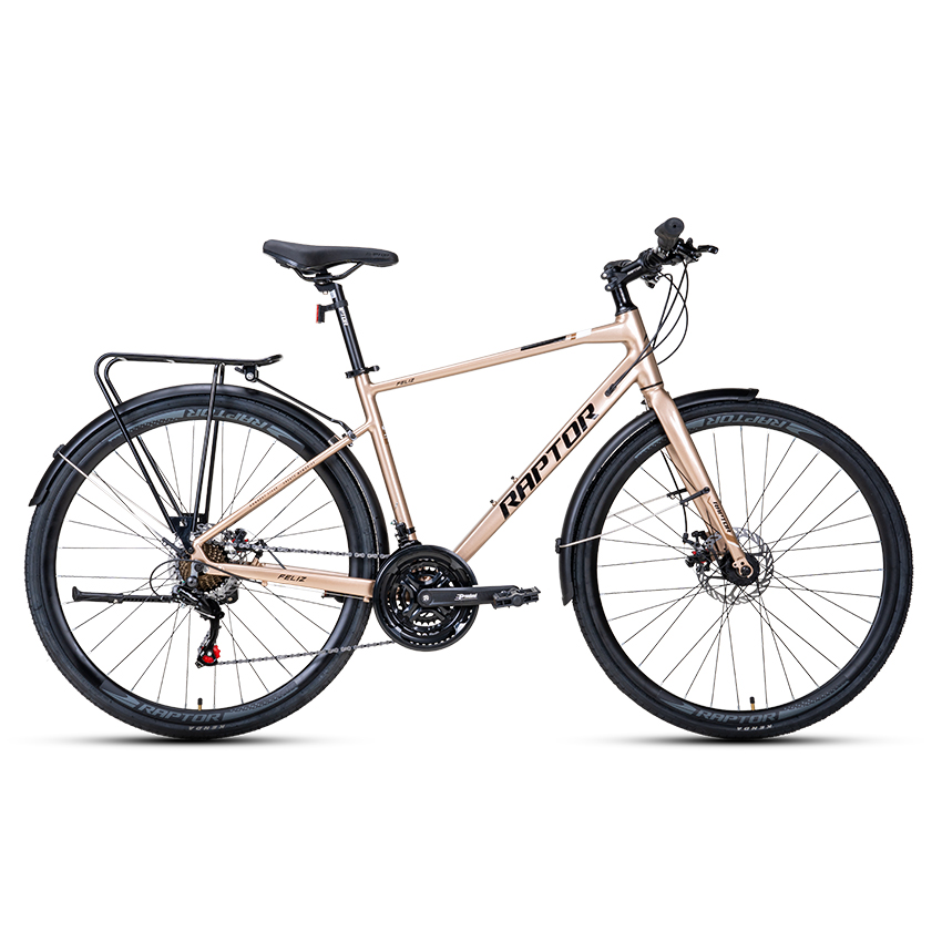Xe Đạp Đường Phố Touring RAPTOR Feliz 2B - Phanh Đĩa, Bánh 700C
