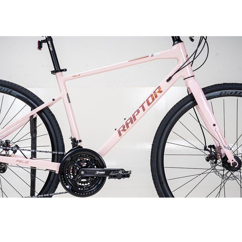 https://api.xedap.vn/products/RAPTOR/feliz-2-lightpink-1.jpg