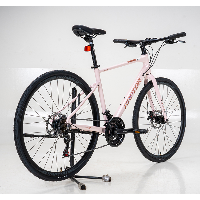 https://api.xedap.vn/products/RAPTOR/feliz-2-lightpink-10.jpg