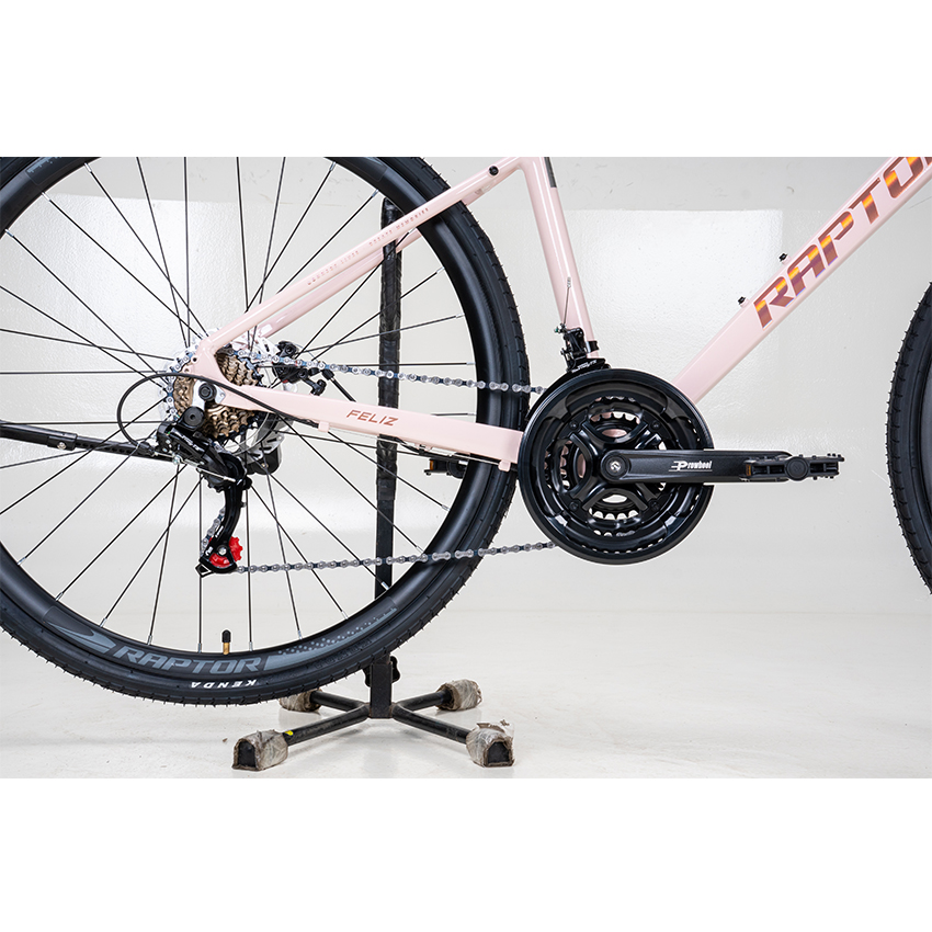 https://api.xedap.vn/products/RAPTOR/feliz-2-lightpink-2.jpg