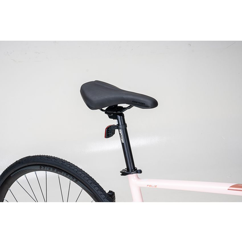 https://api.xedap.vn/products/RAPTOR/feliz-2-lightpink-4.jpg