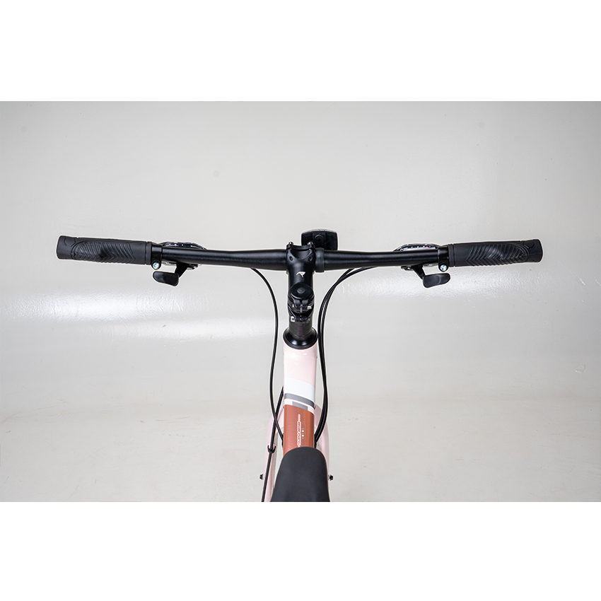 https://api.xedap.vn/products/RAPTOR/feliz-2-lightpink-6.jpg