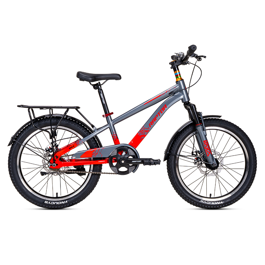 Xe Đạp Trẻ Em Youth RAPTOR Hola 2B - Phanh Đĩa, Bánh 20 Inch