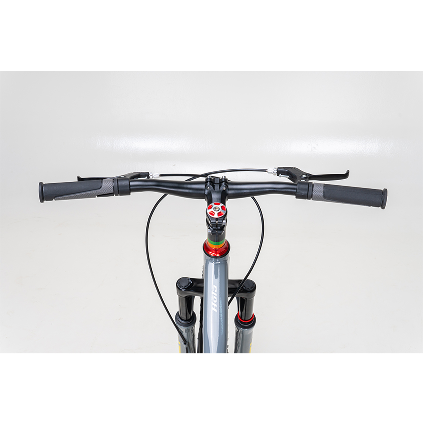 https://api.xedap.vn/products/RAPTOR/hola-20-b-grey-1.jpg