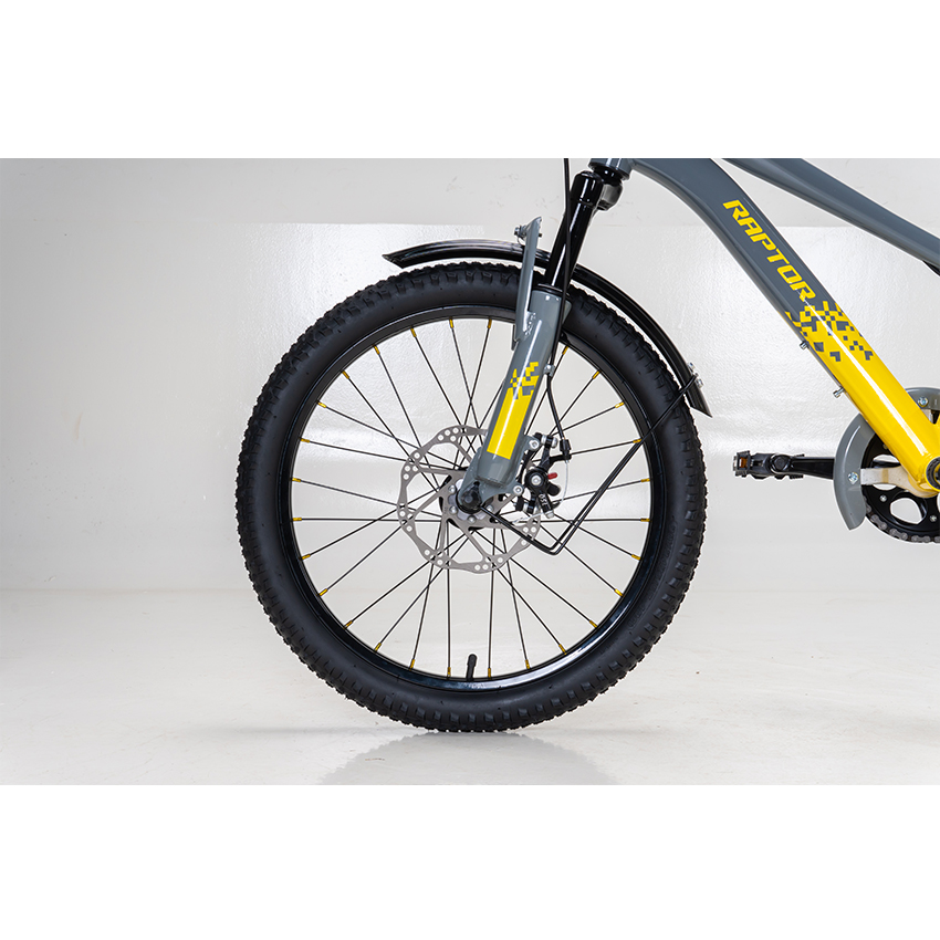 https://api.xedap.vn/products/RAPTOR/hola-20-b-grey-2.jpg