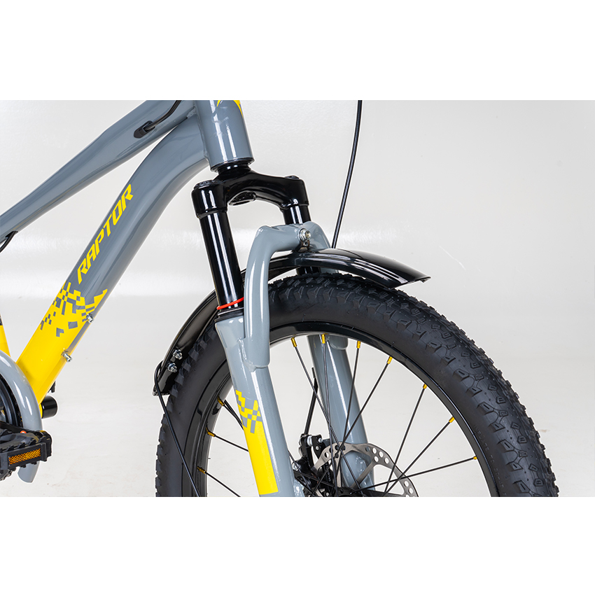 https://api.xedap.vn/products/RAPTOR/hola-20-b-grey-4.jpg