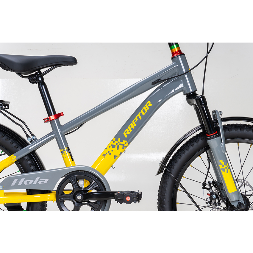 https://api.xedap.vn/products/RAPTOR/hola-20-b-grey-5.jpg