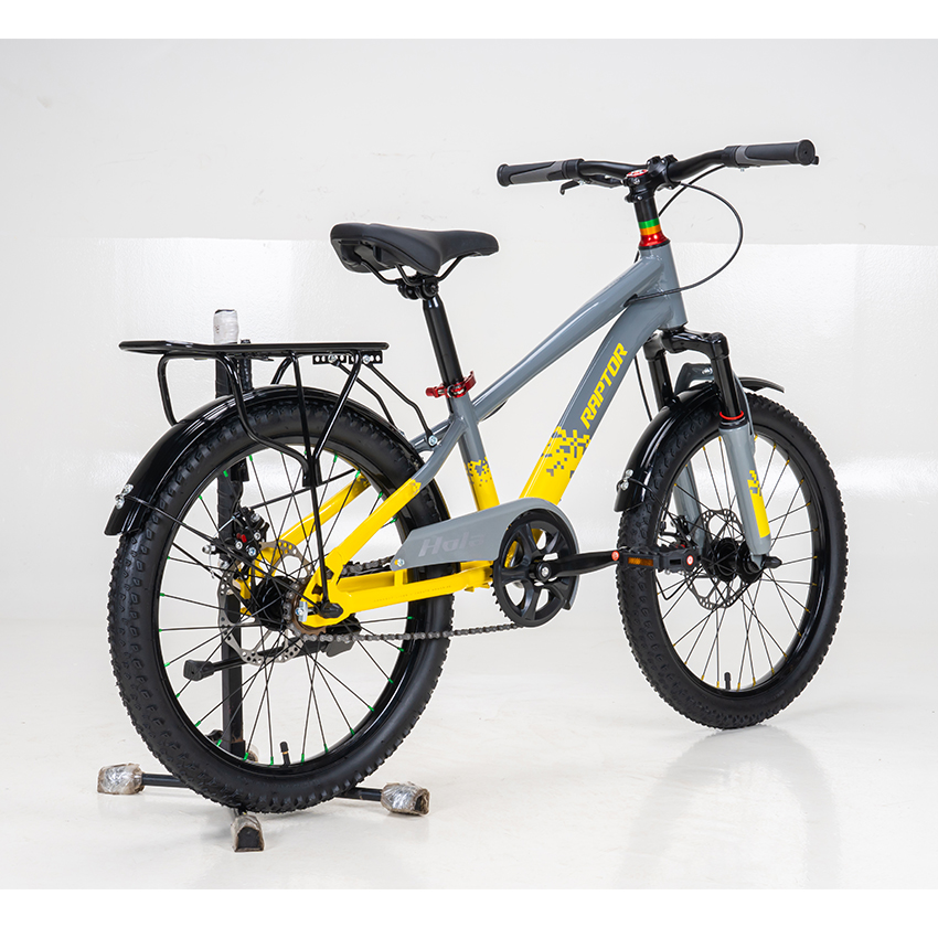 https://api.xedap.vn/products/RAPTOR/hola-20-b-grey-8.jpg