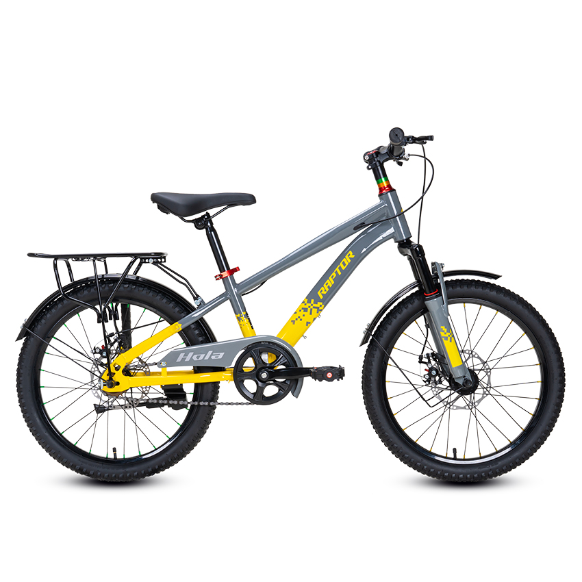 https://api.xedap.vn/products/RAPTOR/hola-20-b-grey.jpg