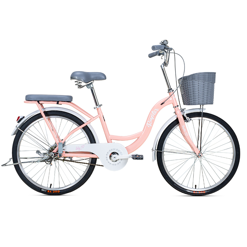 Xe Đạp Đường Phố Touring RAPTOR Lily 3B - Bánh 24 Inch