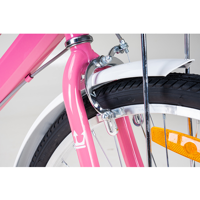 https://api.xedap.vn/products/RAPTOR/lily-3-pink-7.jpg