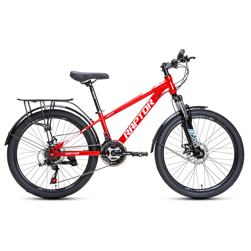 Xe Đạp Đường Phố Touring RAPTOR Rally 1B - Phanh Đĩa, Bánh 24 Inch