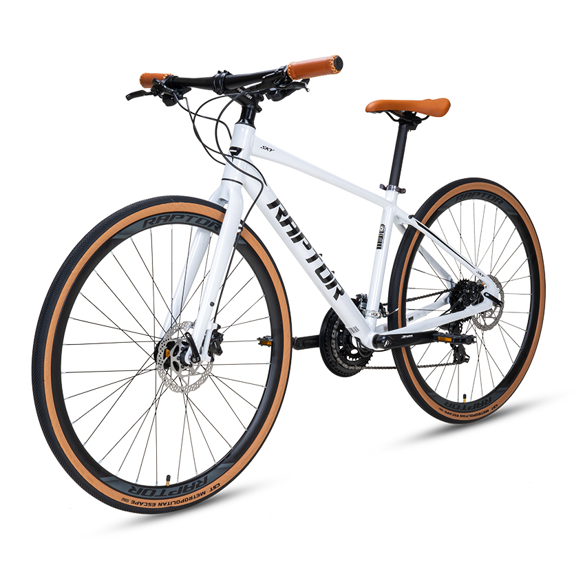 https://api.xedap.vn/products/RAPTOR/raptorsky-white-2.jpg