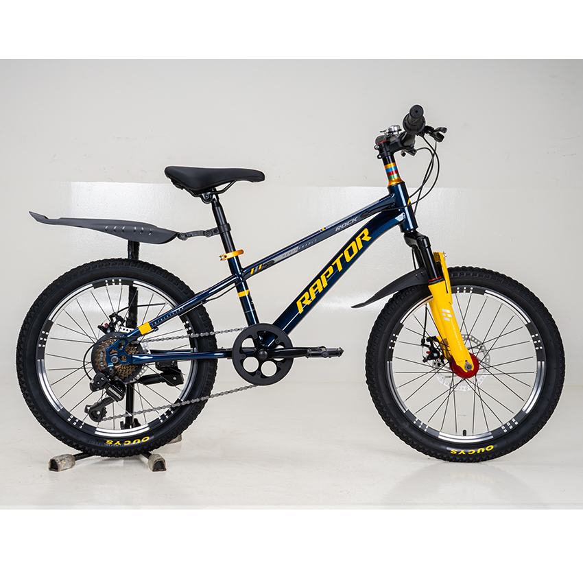 Xe Đạp Trẻ Em Youth RAPTOR Rock 2 - Bánh 20 Inch