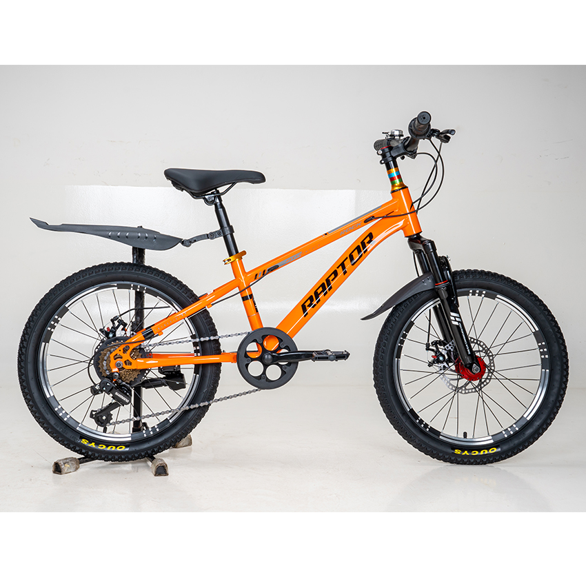 Xe Đạp Trẻ Em Youth RAPTOR Rock 2 - Bánh 20 Inch