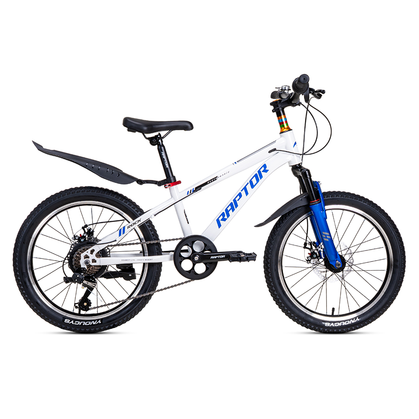 Xe Đạp Trẻ Em Youth RAPTOR Rock 2 - Phanh Đĩa, Bánh 20 Inch