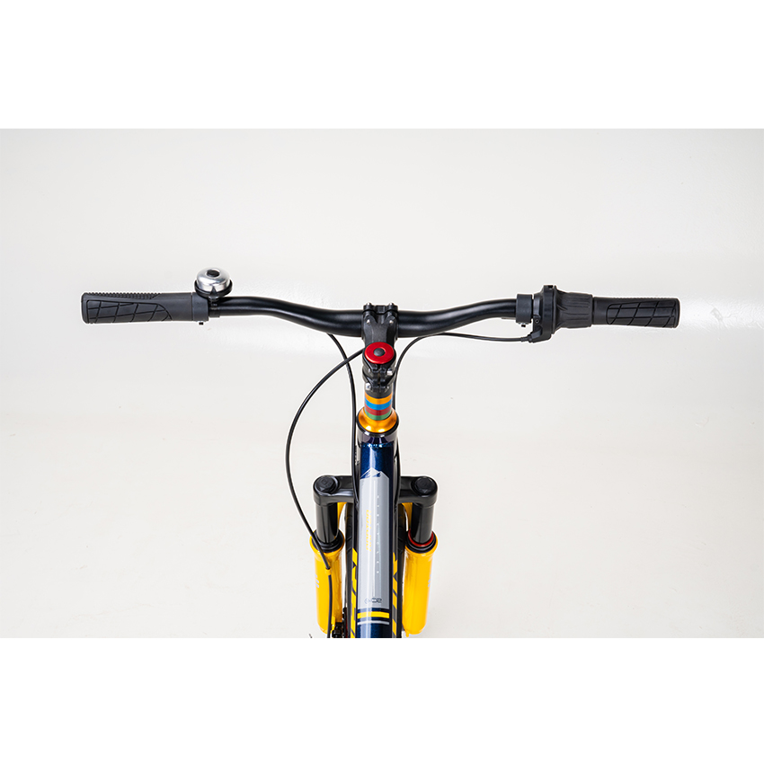 https://api.xedap.vn/products/RAPTOR/rock-3-blueyellow-10.jpg