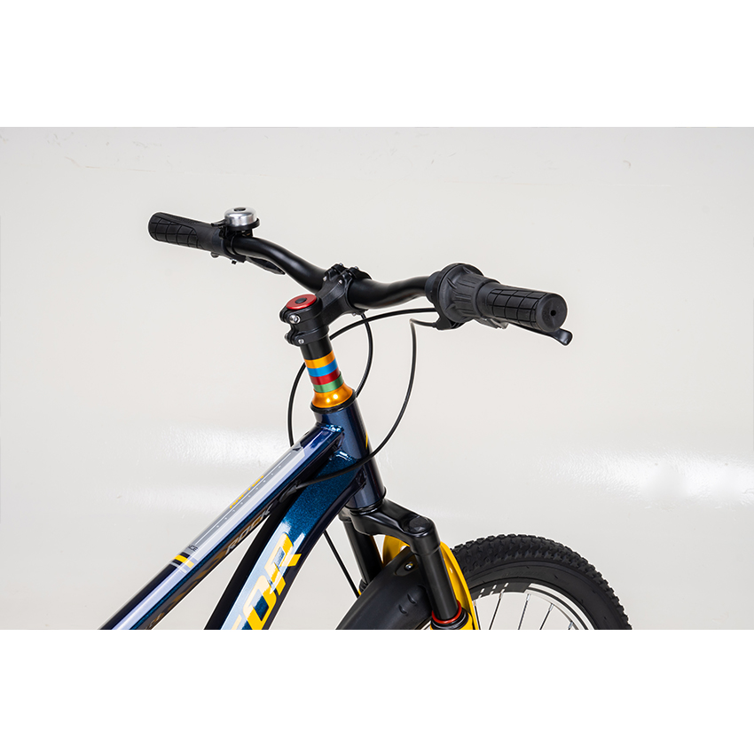 https://api.xedap.vn/products/RAPTOR/rock-3-blueyellow-2.jpg