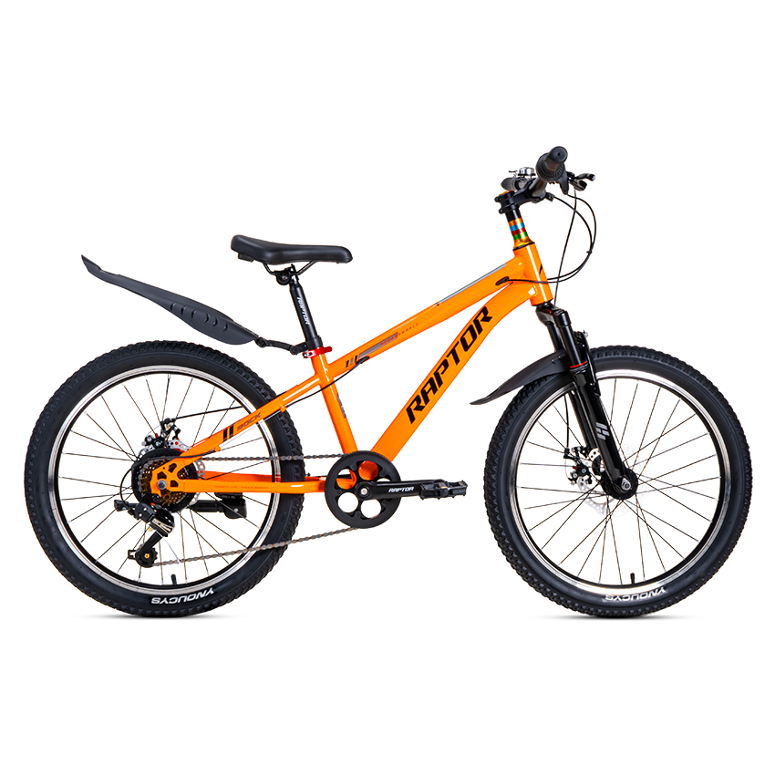 Xe Đạp Trẻ Em Youth RAPTOR Rock 3 - Phanh Đĩa, Bánh 22 Inch