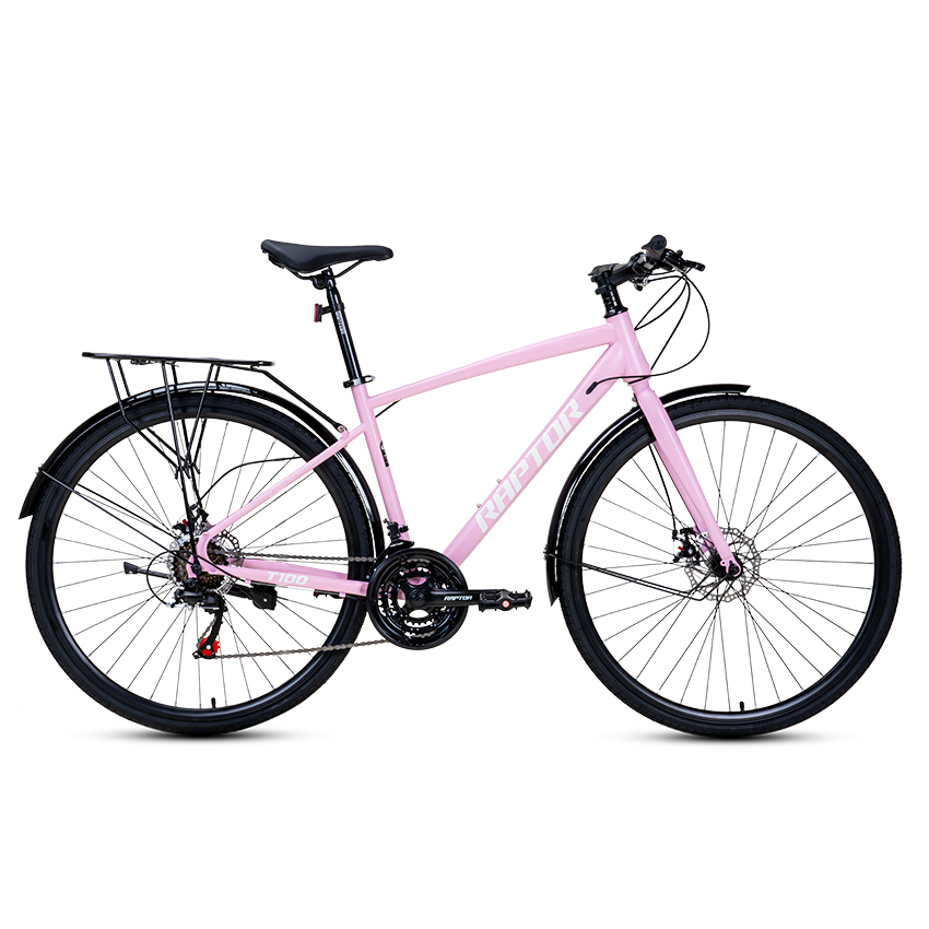 Xe Đạp Đường Phố Touring RAPTOR T100 - Bánh 700C
