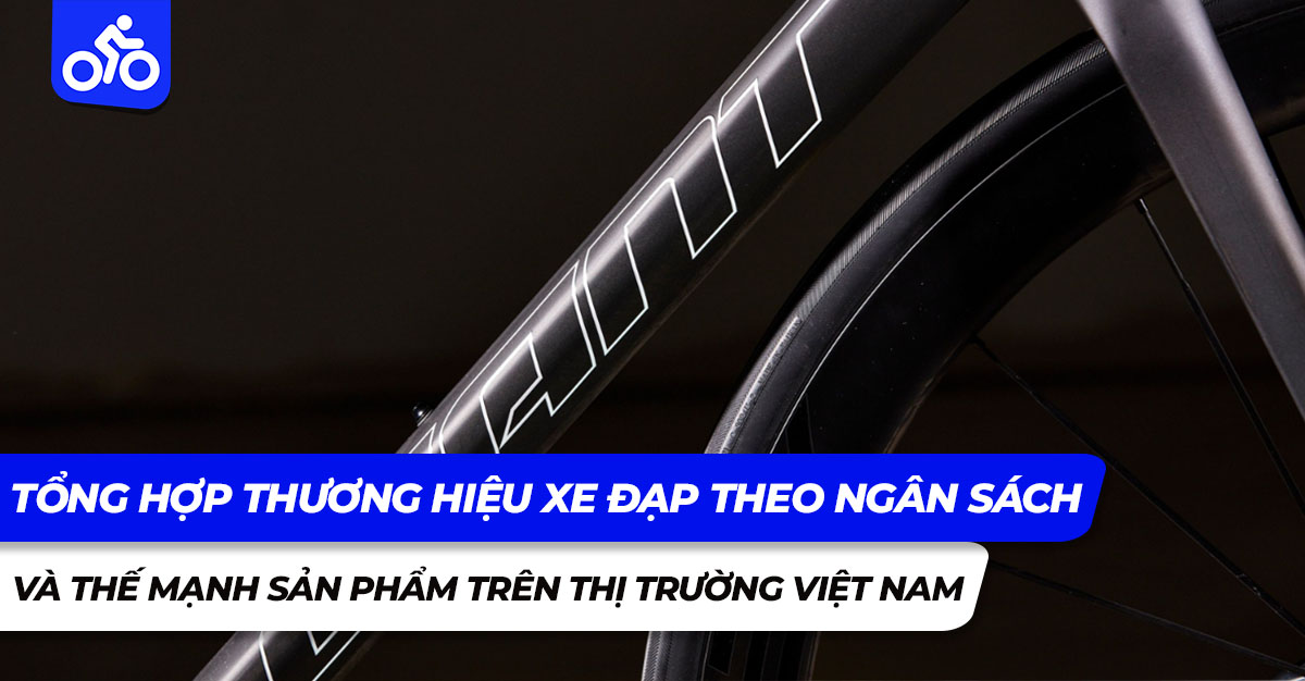 Tổng hợp thương hiệu xe đạp theo ngân sách và thế mạnh sản phẩm trên thị trường Việt Nam