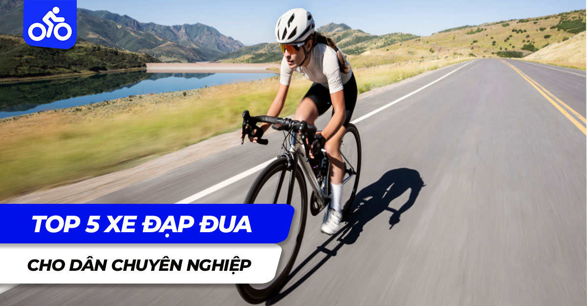 Top 5 xe đạp đua cho dân chuyên nghiệp 