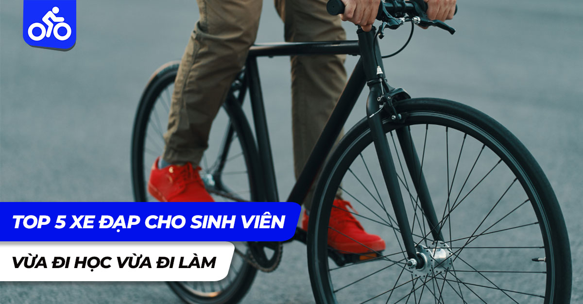 Top 5 xe đạp cho sinh viên vừa đi học vừa đi làm