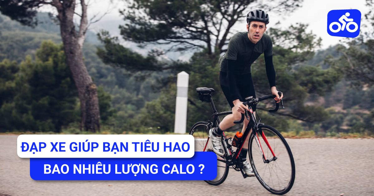 Đạp Xe Giúp Bạn Tiêu Hao Bao Nhiêu Lượng Calo? Và Những Lưu Ý.