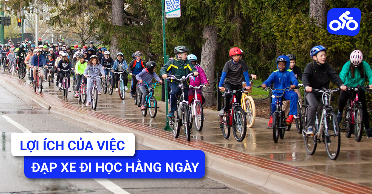 7 Lợi Ích Của Việc Đạp Xe Đi Học Hằng Ngày