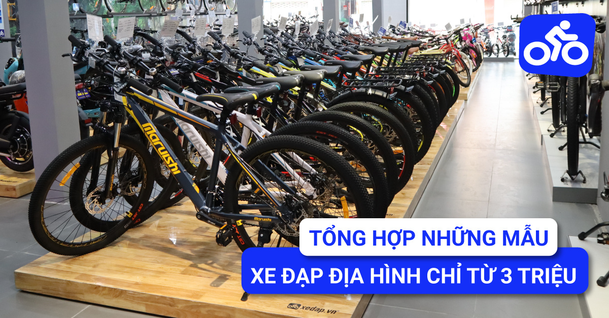 Tổng Hợp Những Mẫu Xe Đạp Địa Hình Chỉ Từ 3 Triệu