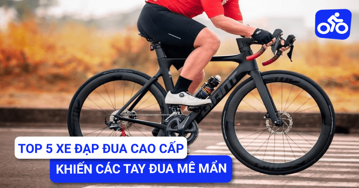 Top 5 dòng xe đạp đua cao cấp khiến các tay đua “mê mẩn”