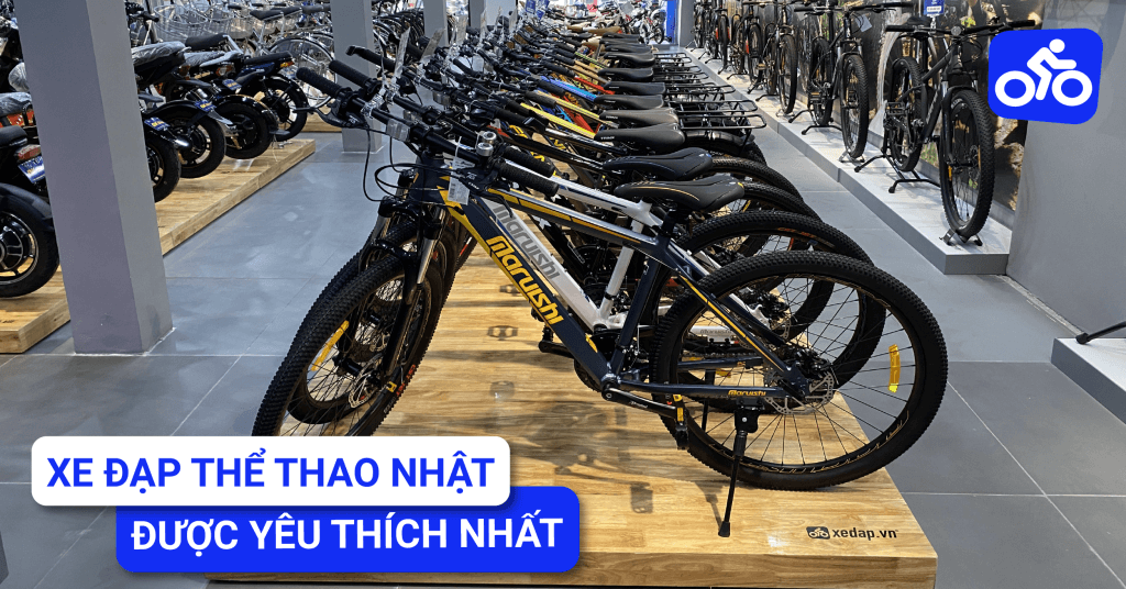 Các Mẫu Xe Đạp Thể Thao Nhật Được Yêu Thích Nhất