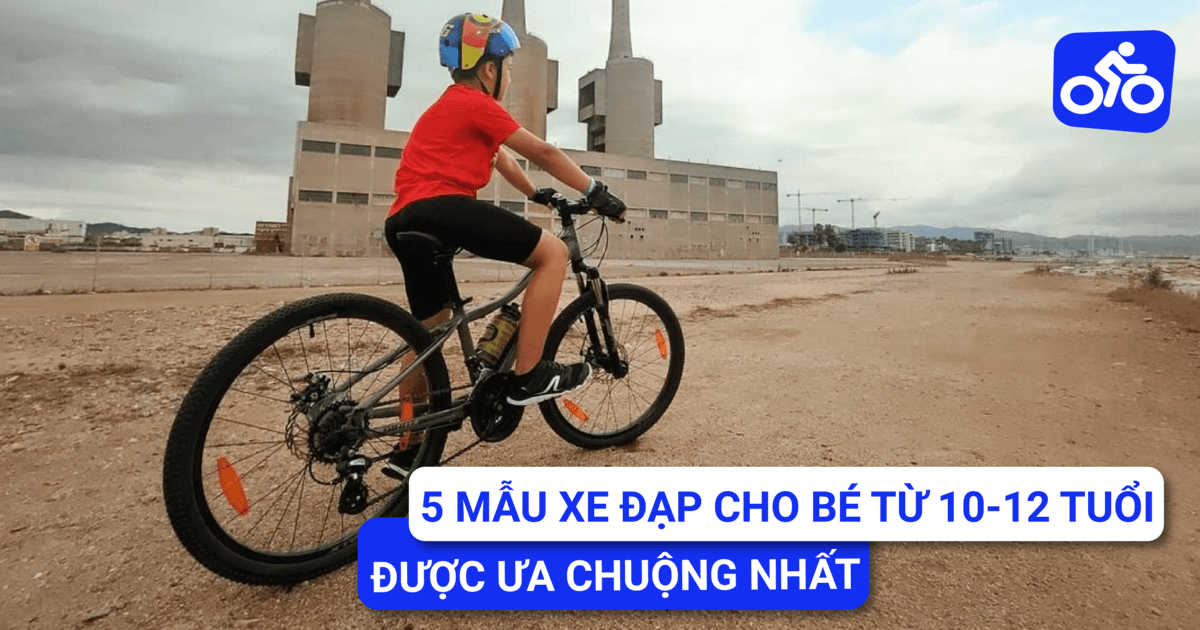 5 Mẫu Xe Đạp Cho Bé Từ 10-12 Tuổi Được Ưa Chuộng