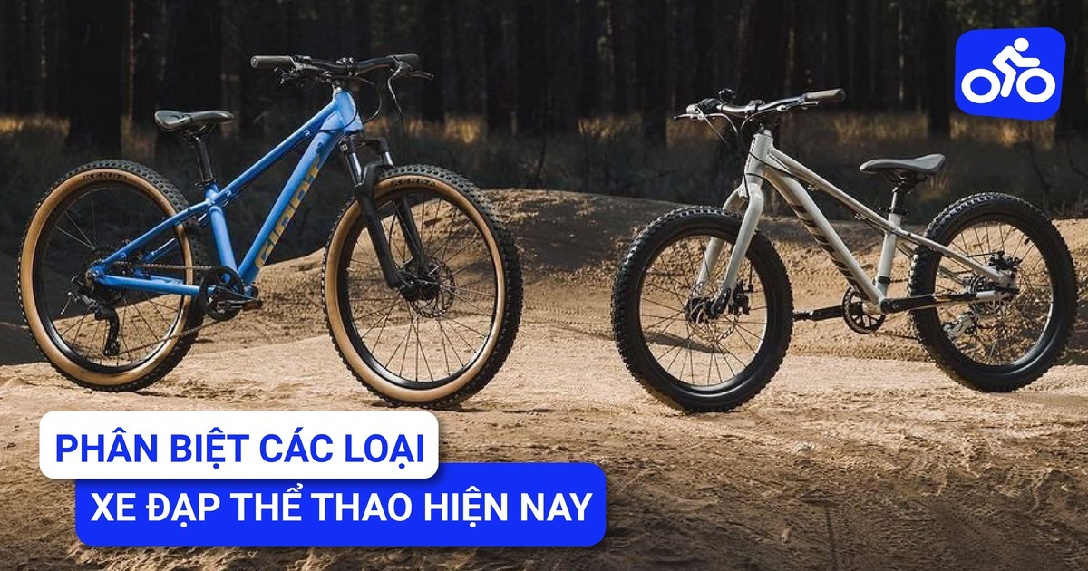 Phân Biệt Các Loại Xe Đạp Thể Thao Hiện Nay