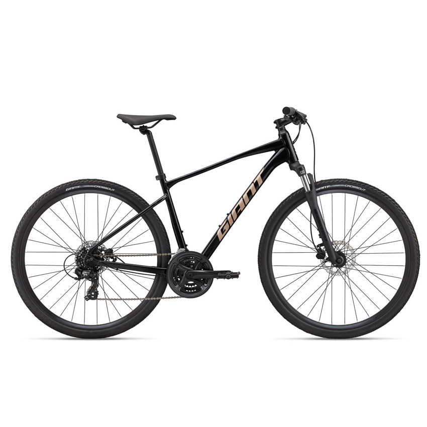  Xe Đạp Địa Hình MTB GIANT Roam 4 Disc – Phanh Đĩa, Bánh 700C – 2022