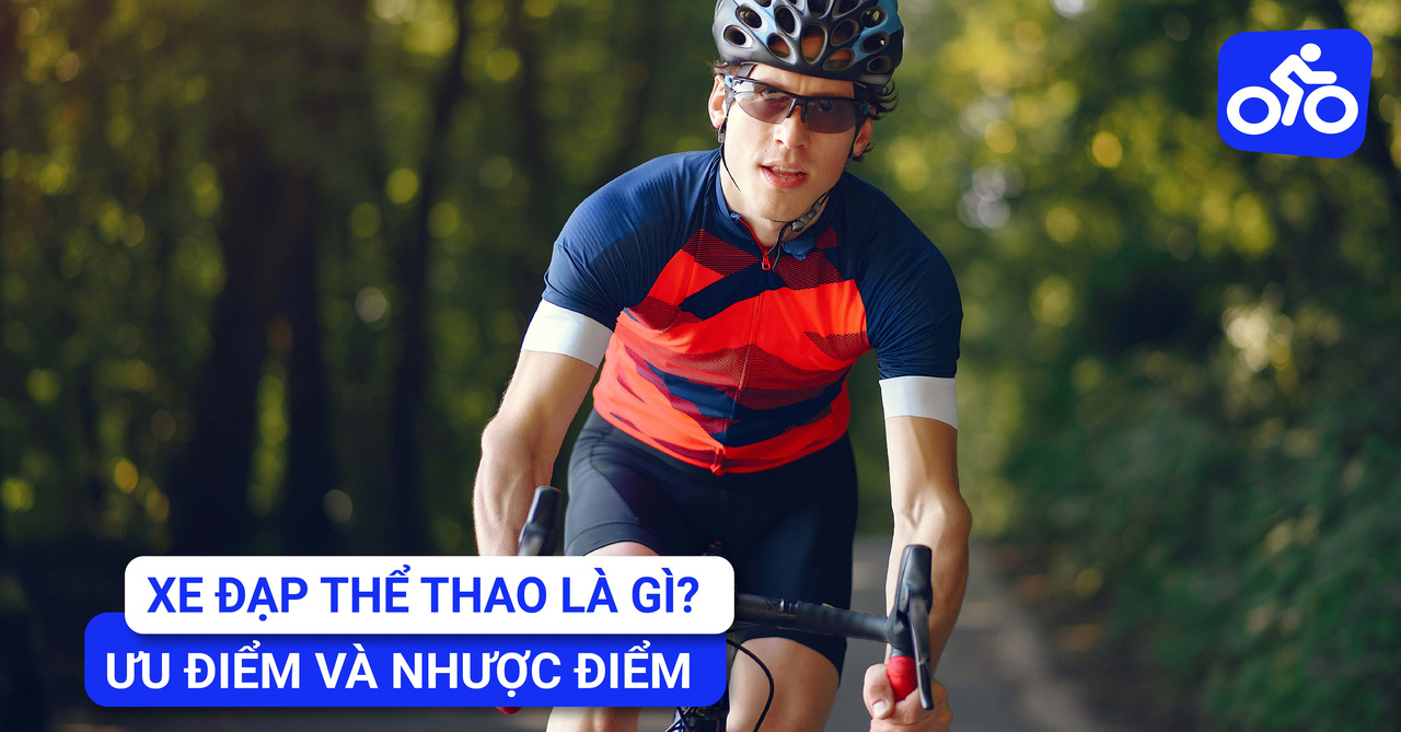 Xe Đạp Thể Thao Là Gì Và Điểm Mạnh, Điểm Yếu Của Chúng