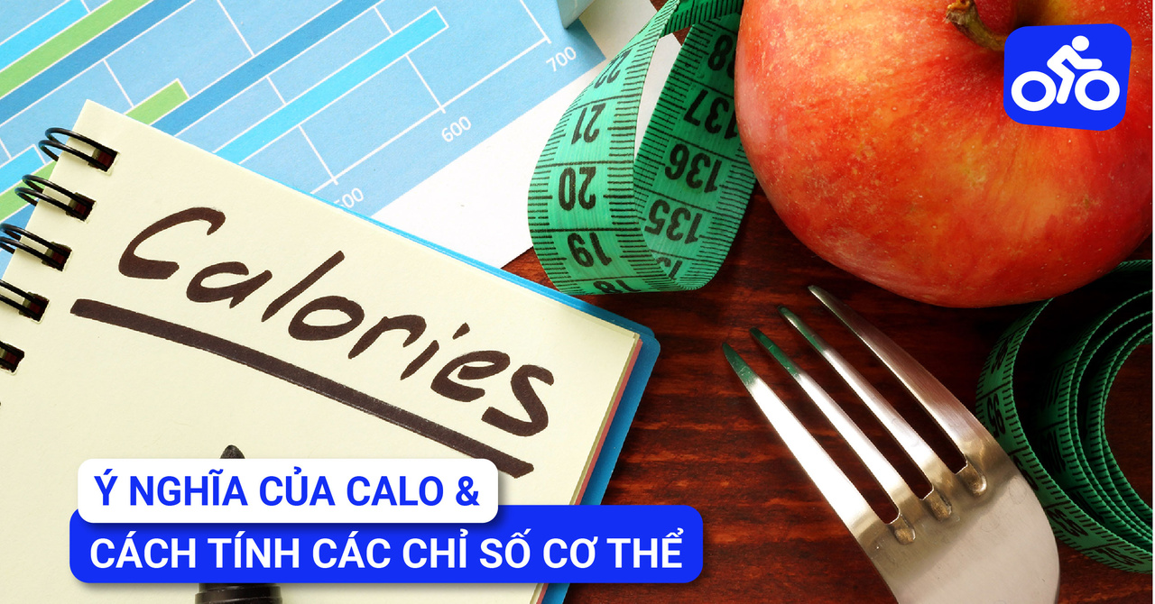 Ý Nghĩa Calo Và Cách Tính Các Chỉ Số Của Cơ Thể